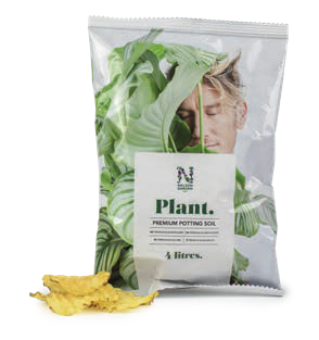 snacks-chips-plant-nelson-garden.png